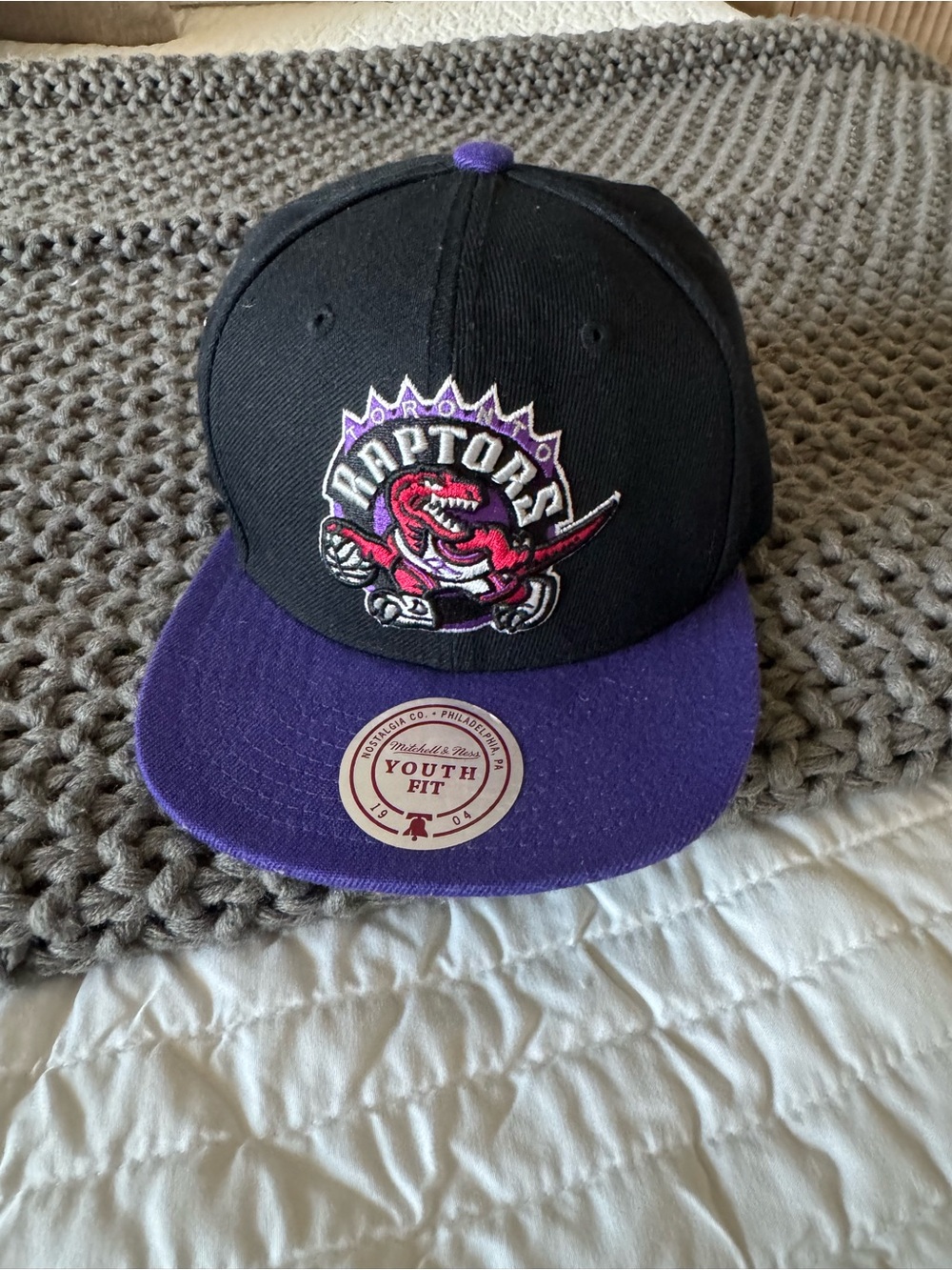 Mitchell & Ness Toronto Raptors Black and Purple Youth Snapback Hat